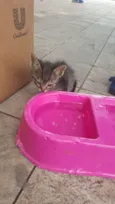 Precisa de nomes