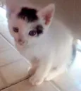 ..