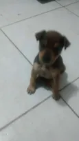 He man