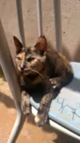 Max/Belinha