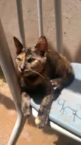 Max/Belinha