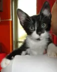 Lennon