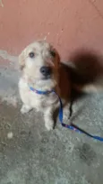 ken