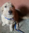 ken