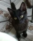 SOFY