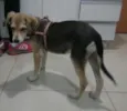 Mel