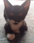 Lili