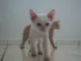 Zefinha/Caidão