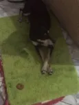 Meeg