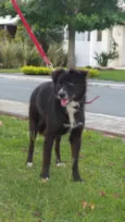 Margarida