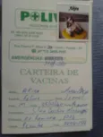 Akira  castrado, va