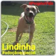 Lindinha