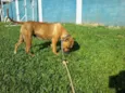 Lindinha