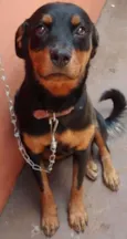 Thor/Madona