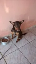 Polly