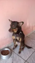 Polly