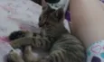 Titica