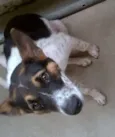 REX