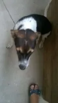 REX