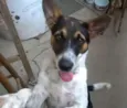 REX