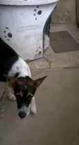 REX