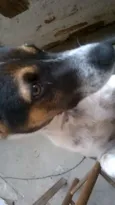 REX