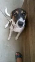 REX
