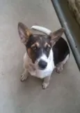REX