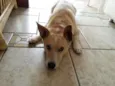 Billy