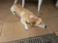 Billy