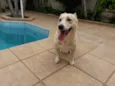 Billy