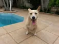 Billy