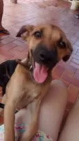 Jujuba e Chiquinha