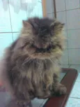 Billy