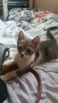 Zeus