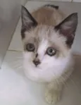 Lilly
