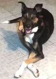 Samantha