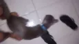 variado
