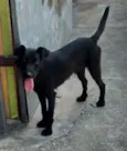 Tod
