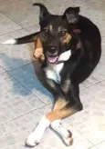 Samantha