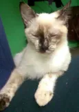 Ororo
