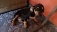 susy /princesa