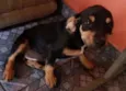 susy /princesa