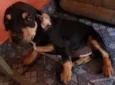 susy /princesa
