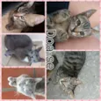 Nome da Mãe: Marie