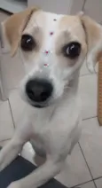 Maggie