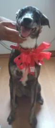 Fiona