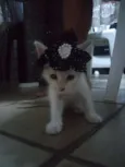 lili