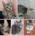 Nome da Mãe: Marie