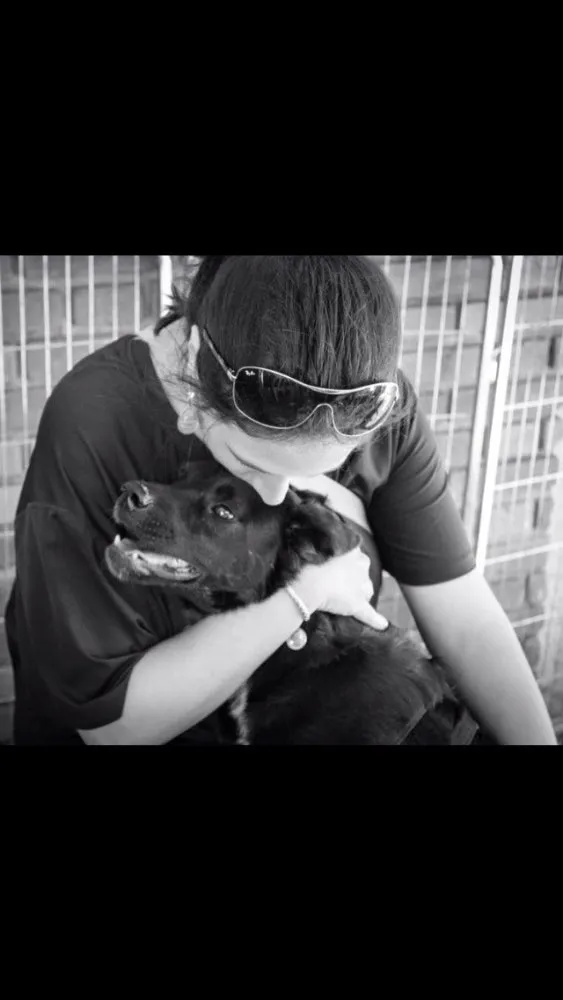 Cachorro raça Sde idade 3 anos nome Spike 